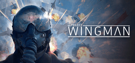 翼人计划VR(Project Wingman)