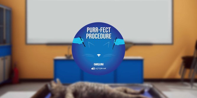 Oculus Quest游戏《解剖模拟器 猫科动物》Dissection Simulator – Cat Edition