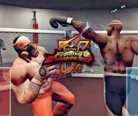 Oculus Quest 游戏《虚拟格斗锦标赛 (VFC)》Virtual Fighting Championship (VFC)
