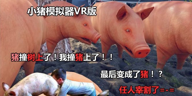 小猪模拟器（pig simulator VR）
